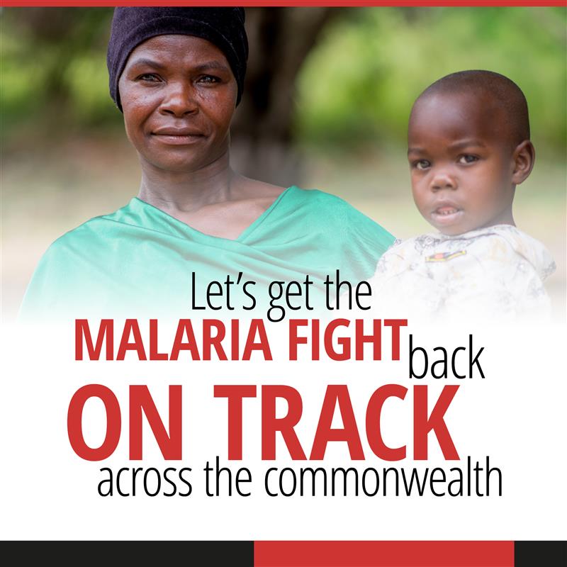 For the launch of the 2024 Commonwealth Malaria Report, we're celebrating the countries that are on track to being malaria-free by 2030. With the right investment from our leaders, we can ensure millions more lives will be saved. Read and share the report👉bit.ly/4dyvnMe