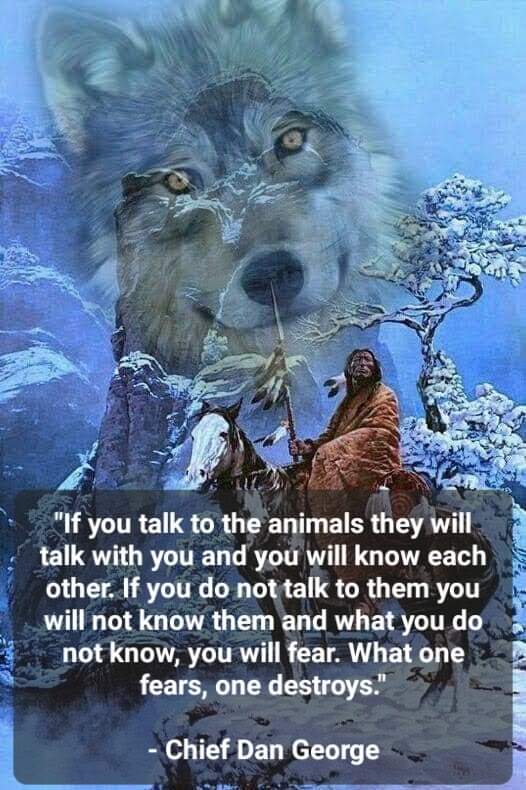 Truth 'If you talk to the animals they will talk with you and you will know each other. If you do not talk to them you will not know them and what you do not know, you will fear. What one fears, one destroys.' - Chief Dan George