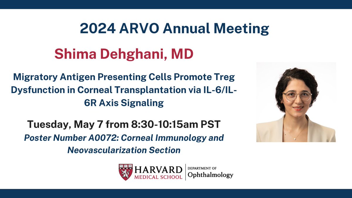 Research fellow Dr. Shima Dehghani is presenting at this morning's paper session on how blocking IL-6 could potentially improve the success rate of graft survival in high-risk corneal transplantations. #ARVO2024 Poster # A0072