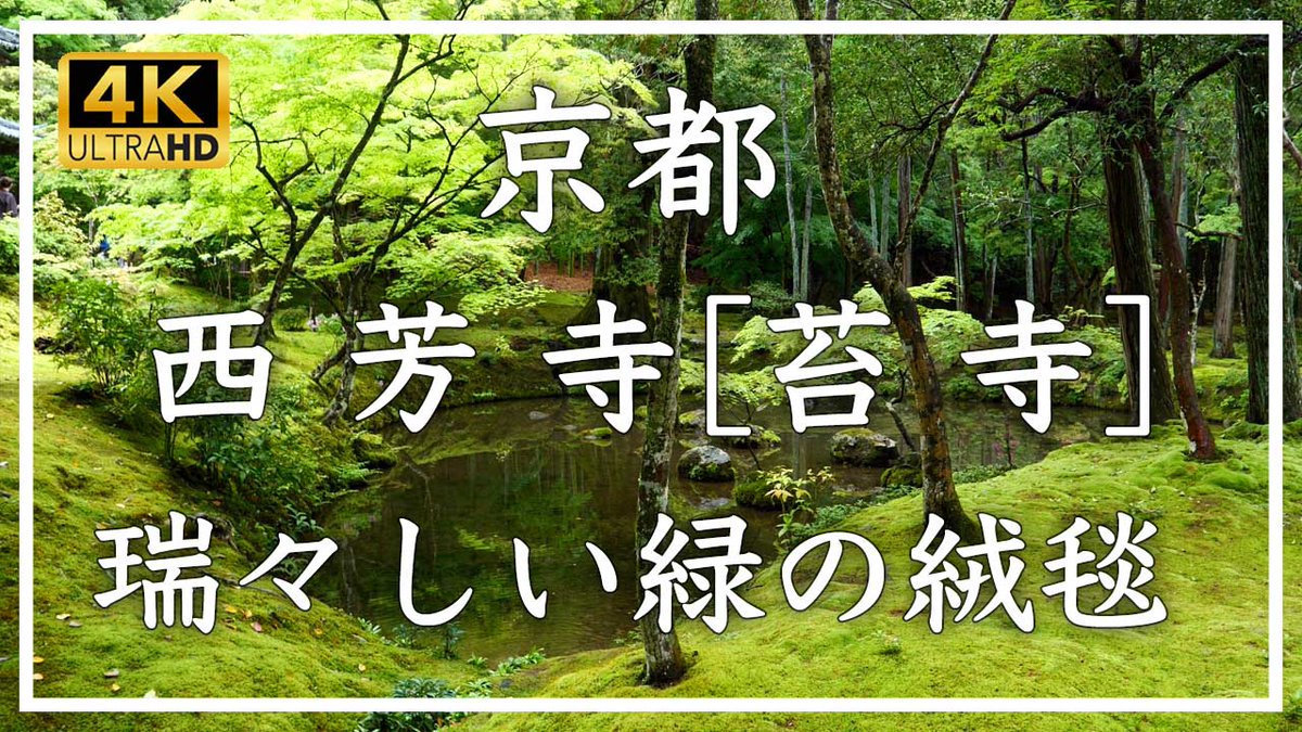 京都 苔寺 
世界文化遺産の庭園は息をのむ美しさでした。
youtu.be/nTipFMrzWgc