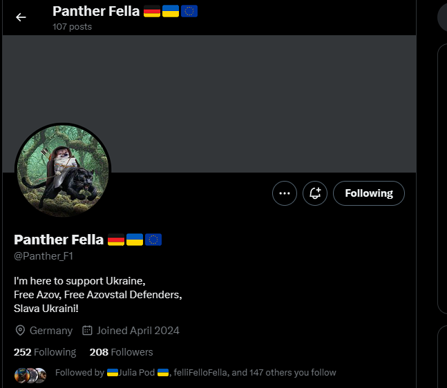 Fellas a new fella has joined nafo lets give this fella boost @Panther_F1