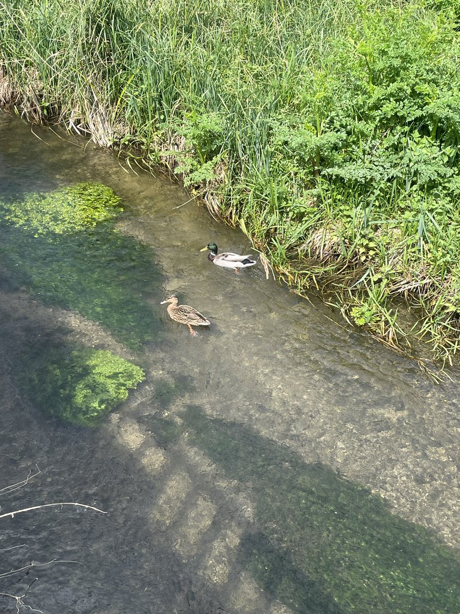 Some of my neighbours