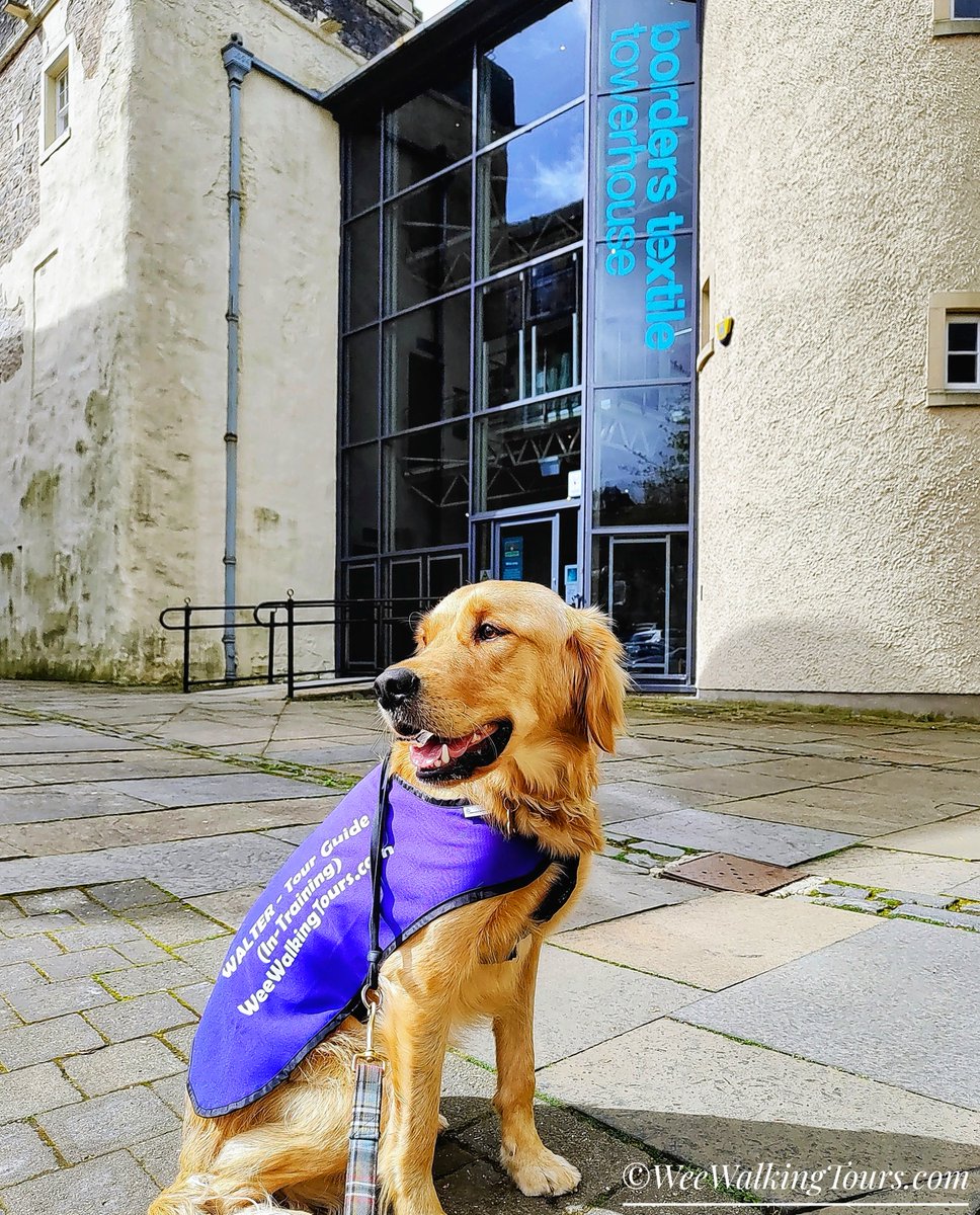 Follow our Wee Walter for a virtual visit to a lovely town in the gorgeous Scottish Borders as we tour the 'Heart of Hawick' - the Borders Textile Towerhouse!🐾💙🏴󠁧󠁢󠁳󠁣󠁴󠁿

weewalkingtours.com/post/borders-t…

#ScottishBorders #BordersTextileTowerhouse #Hawick #HeartOfHawick #VisitScotland