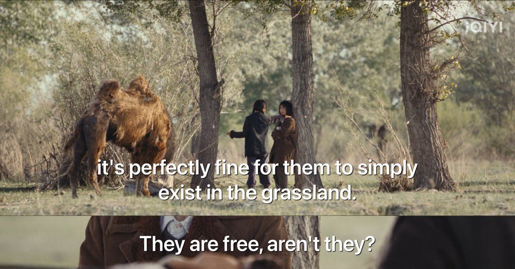 “…look at the trees and grass on the grassland.
they are called useful if people eat and use them.
but if no one uses them, it's perfectly fine for them to simply exist in the grassland.

they are free, aren't they?” 🍃

#tothewonder #我的阿勒泰