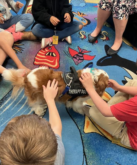 Cooper 🐕‍🦺🐶visited Ms. Meier's 4th graders in the library! 🩷📚This class won our Beanstack🫘@zoobeanreads 'Spring Into Reading' Challenge! 👏🎉🙌 Nothing like spending time with a therapy dog! We🩷Cooper! #SeguinReads @SeguinISD @McQueeneyESISD