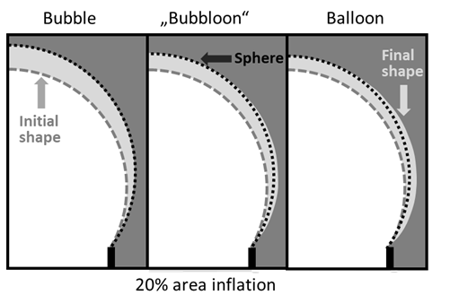 If you want to know the shape of bubbles blown from nozzles, whose surfaces behave a bit like that of balloons, check out the recent @CharlesSadron publication in @softmatter ! 
➡️ pubs.rsc.org/en/content/art…
@CNRSchimie @CNRSphysique @CNRS_Alsace @gfpolymeres