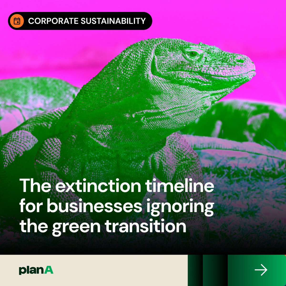 How did the dinosaurs meet their fate, and what can they teach us about adaptation in the face of inevitable change? 

👉 Read the full article here: bit.ly/3y3GtIC