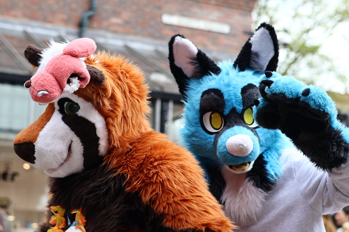 The Wah at Yorkfurs!
🗺️: <a href="/york_furs/">YorkFurs</a> 
🎍: <a href="/RhydiansPlace/">Rhydian 🧡</a>