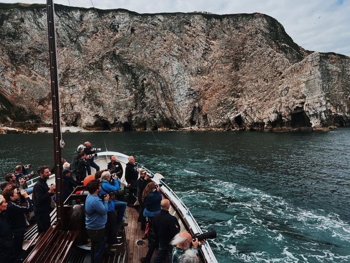 Tomorrow's Puffin & Gannet cruise is sailing! And there's still spaces remaining😍 Fancy a trip out with us? More details here 👉 rb.gy/b60nz4 📷 Ellen Leach