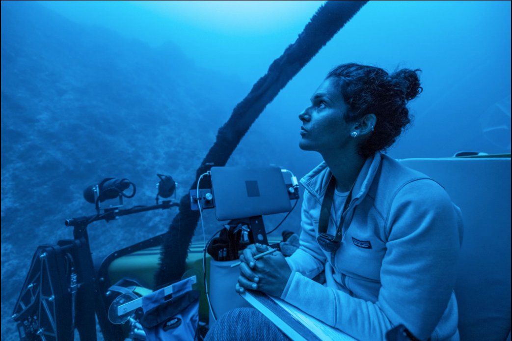 #News Making Waves – UWI Marine Biologist Dr. Diva Amon wins Anthony N Sabga Science and Technology Award. Read full release here: bit.ly/44ytpXP