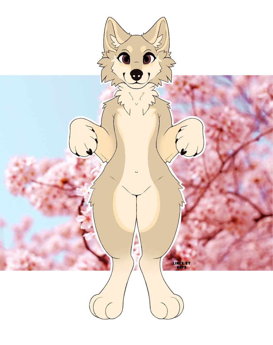 Keiko ⭐️ tweet media