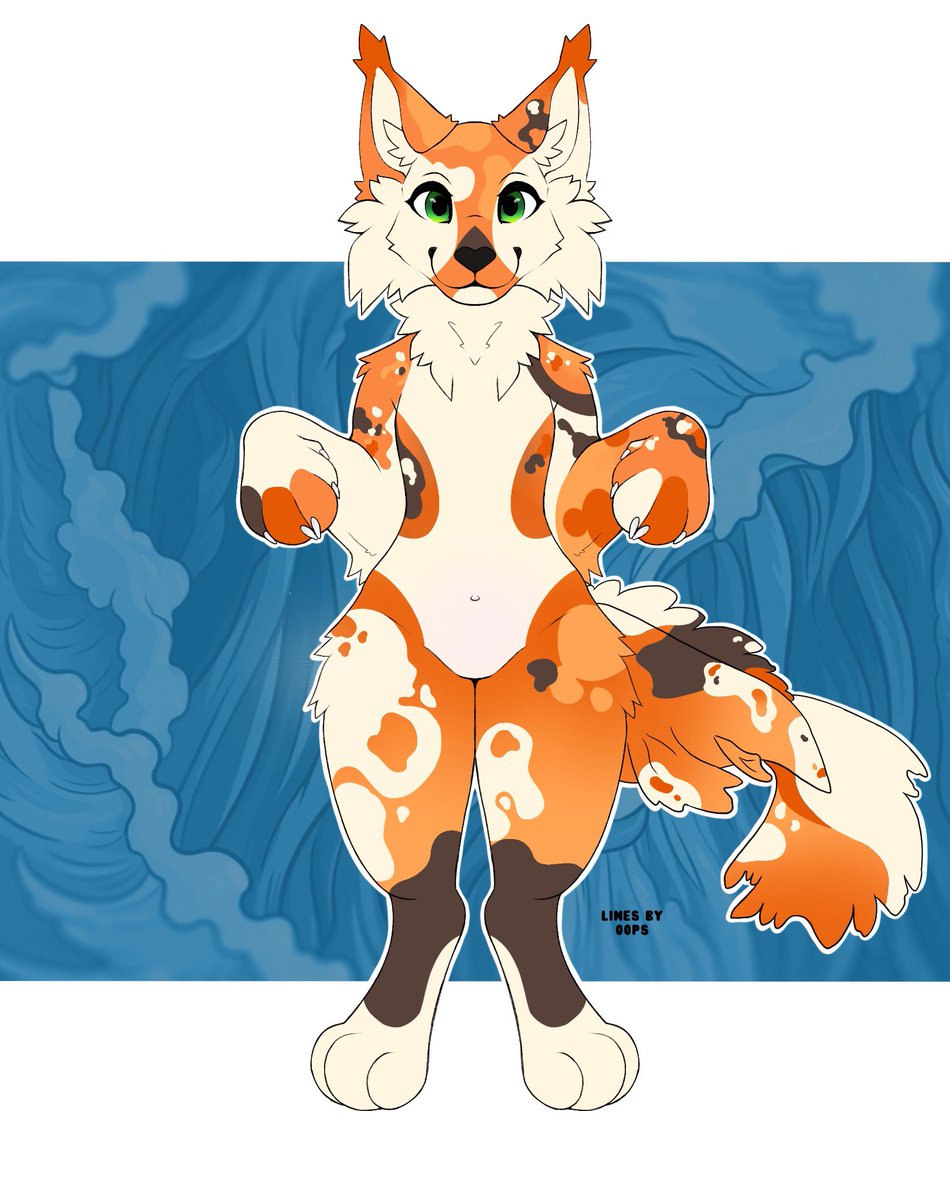 Keiko ⭐️ tweet media