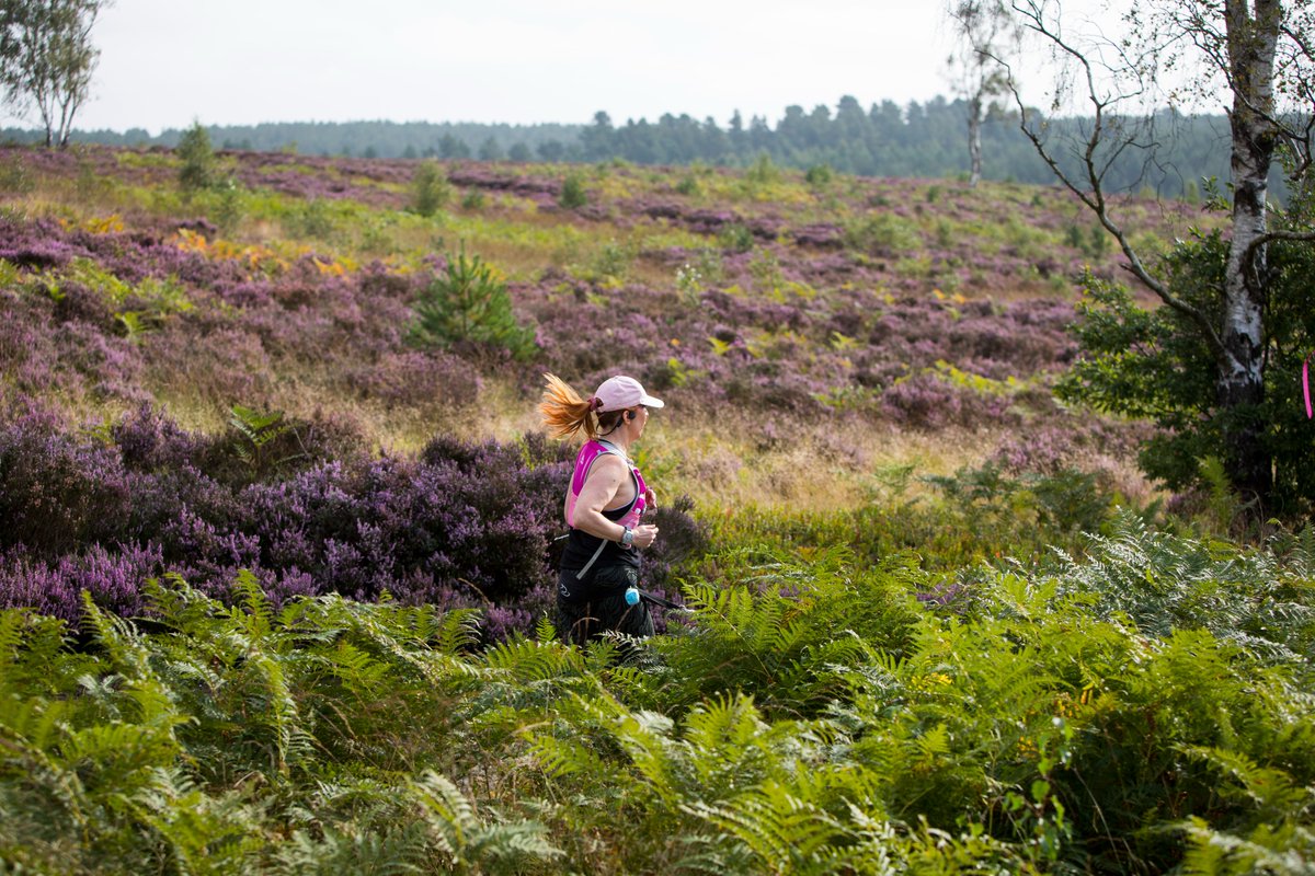 Have your say on the future of #CannockChase by completing our survey today. We are preparing a new Management Plan to protect and enhance the natural beauty of the area for the next 5 years bit.ly/3WuYd9Y @CannockChaseNL #nature