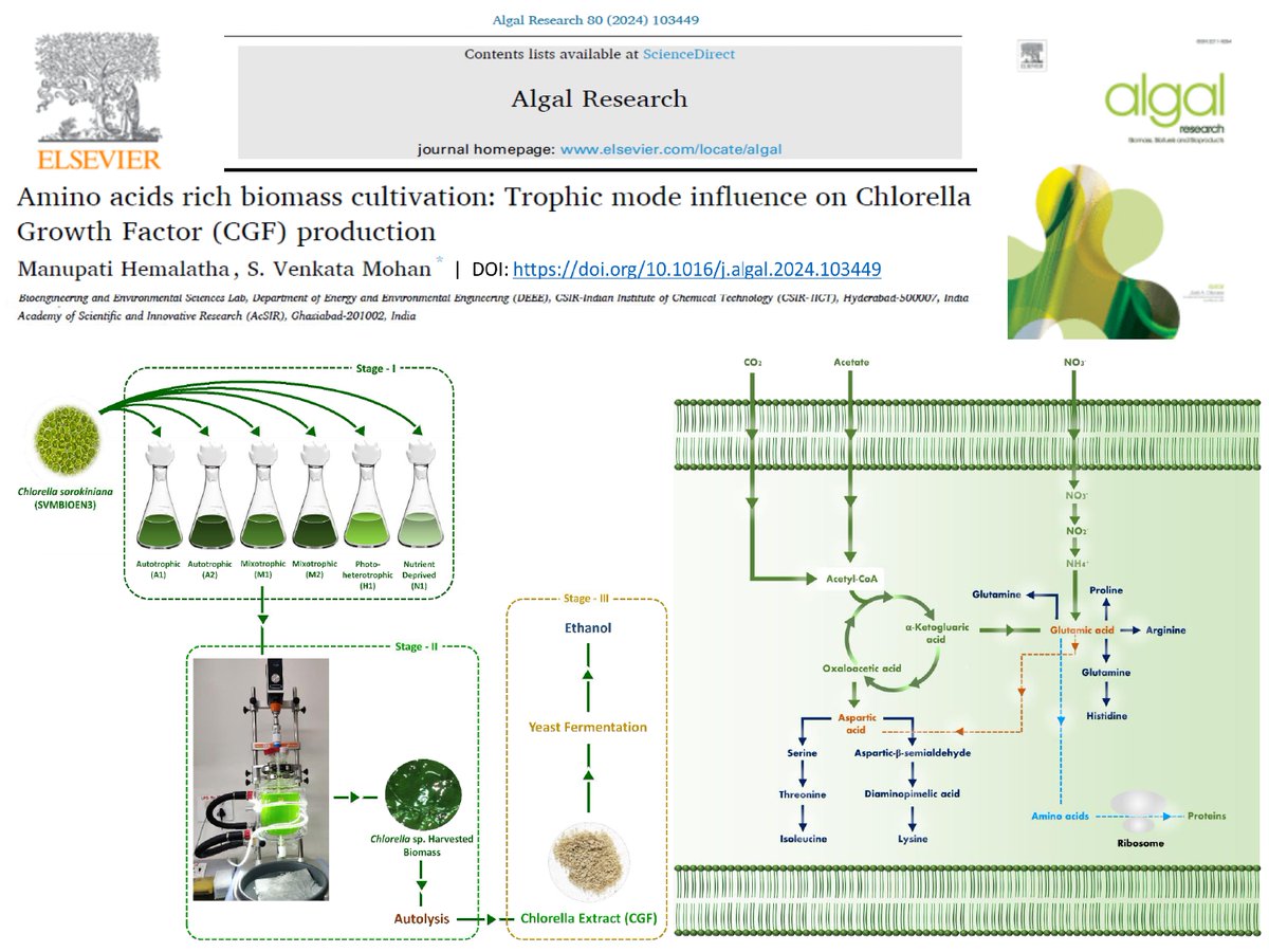 Happy to share the recent work of Dr. S. Venkata Mohan on “Amino acids rich biomass cultivation: Trophic mode influence on Chlorella Growth Factor (CGF) production” published in Algal Research DOI: doi.org/10.1016/j.alga… @CSIR_IND @DrNKalaiselvi @CSIR_NIScPR @AcSIR_India