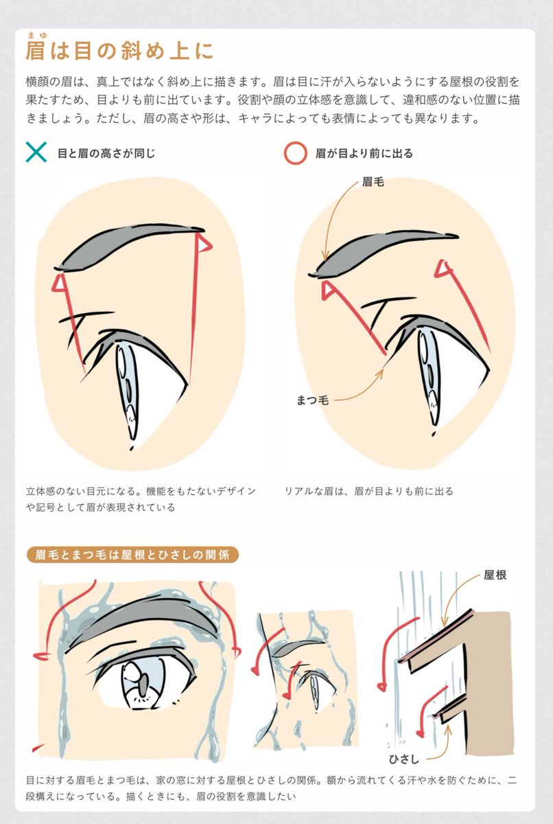 眉毛は目の斜め上にある!!
汗が目に入らないように目の傘の役割を眉毛は果たす。
※画像は拙著より抜粋
アニメ私塾流最強3ステップでラクラク顔・バストアップの描き方
https://t.co/I29Rqjq3oY