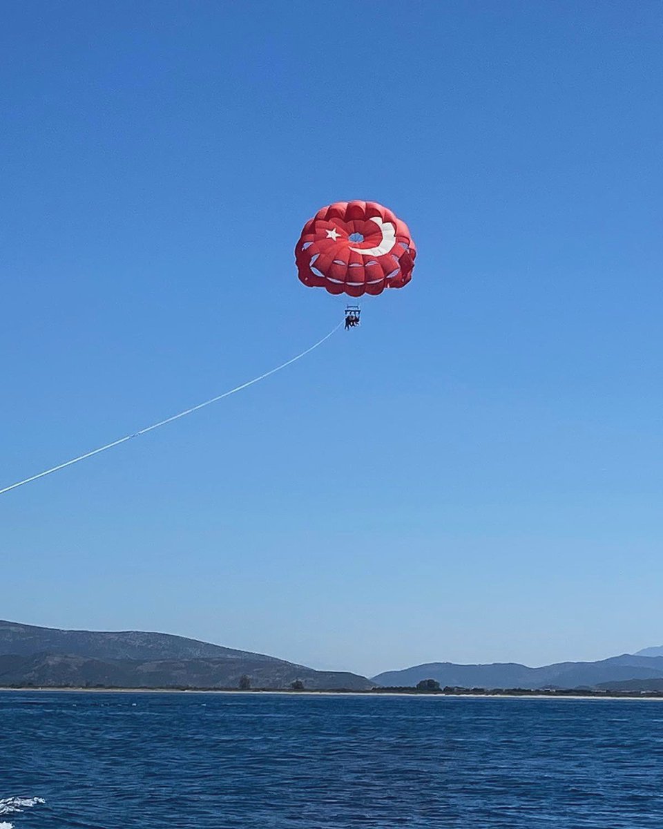 sally grant tweet media