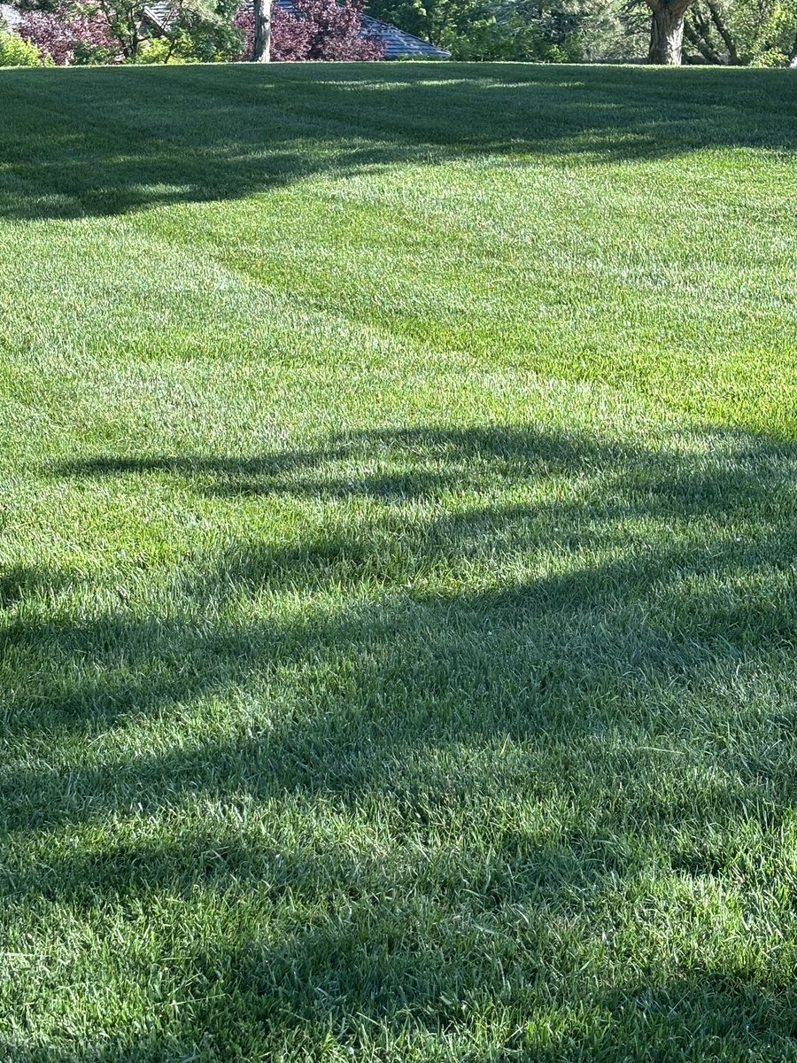 My favorite Spring (Baseball) smell ⚾️ 1-Freshly cut grass 2-Pine Tar