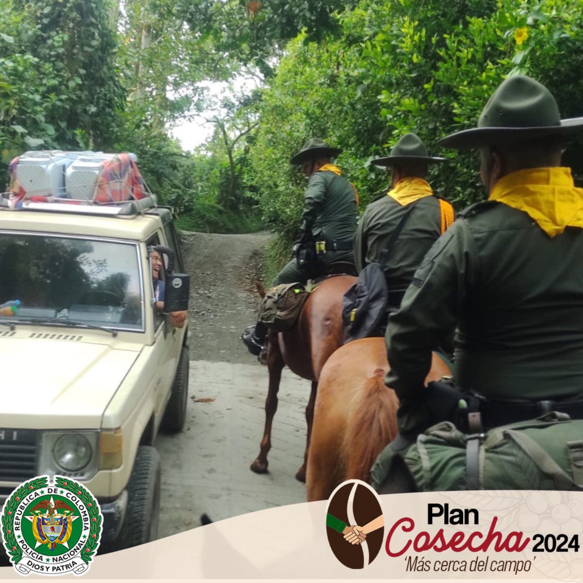 ¡Café con protección! 🚔En  #Manizales y #Villamaria, la Policía se unió  a nuestros caficultores, brindando seguridad y apoyo en cada paso. ¡Juntos, cultivamos confianza y calidad en cada grano!
 #PlanCosecha2024 #MásCercaDelCampo @CarabinerosCol