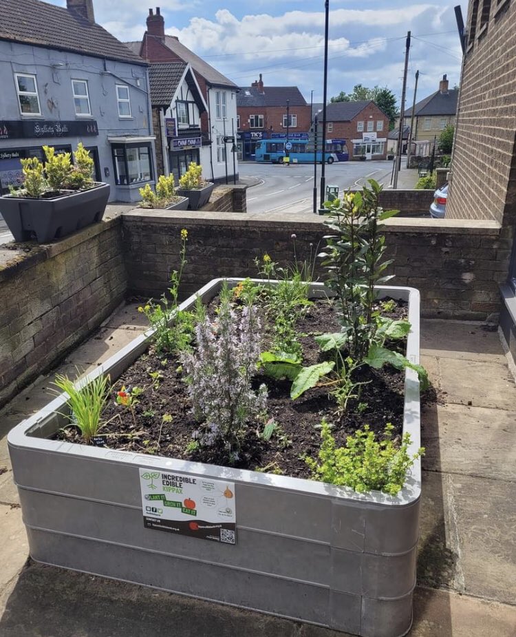 In eleven days... Seedling planting for children. 🌱 Lots of chat on vegetables and gardening. Questions answered. Knowledge grown Incredible Edible Kippax at Kippax Community Hub and Library 18 May 2024 10am - 12noon.