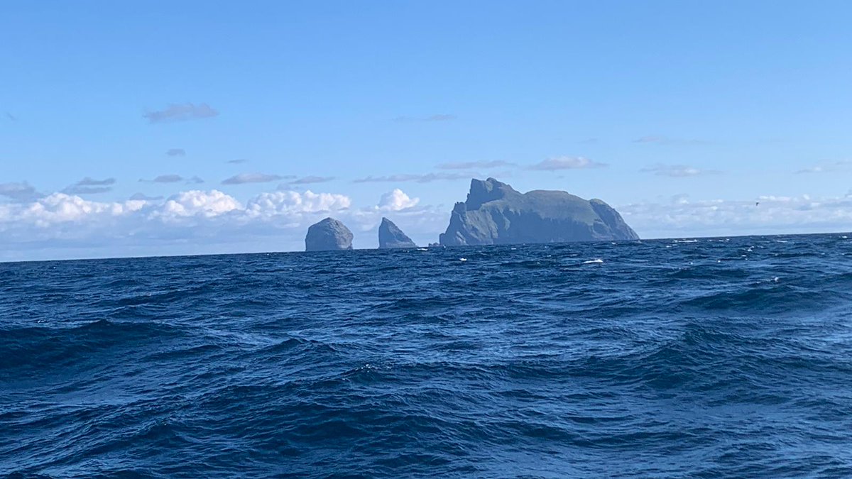 More super photos from Chef Steve @Landlocked68 from the recent #cruise to St Kilda - with Boreray and the Stacs and the main island of Hirta looking otherwordly. Just a few places left on cruises to this amazing archipelago. northernlight-uk.com/our-cruises/20…