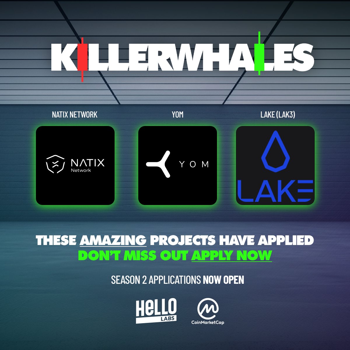 Voting started, but applications haven’t stopped! Say $HELLO to these killer projects that are looking to claim a top spot: 🔸@NATIXNetwork 🔸@YOM_Official 🔸@lake_lak3 The top 3 projects on the leaderboard when voting ends June 1 will claim a spot on @KillerWhalesTV season 2…