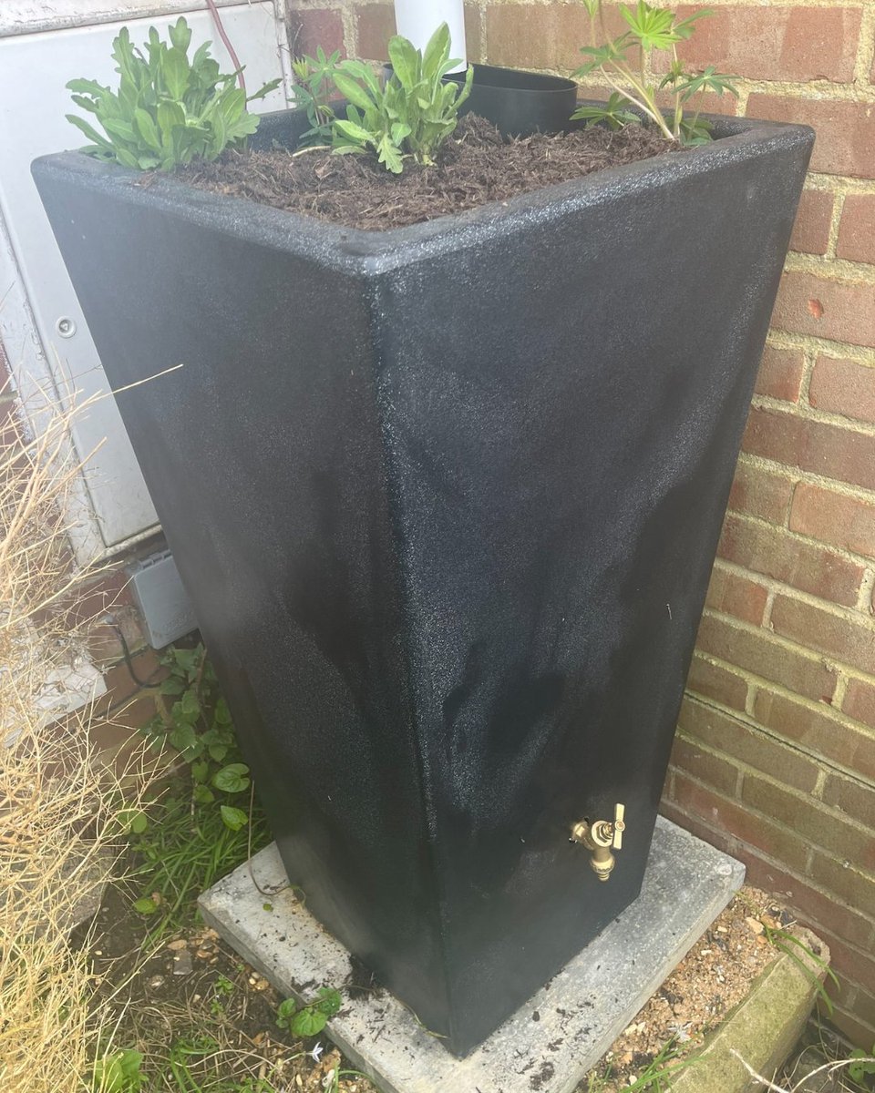 OurRainwater's tweet image. Success in #Newhaven! ✨

We recently installed 25 rainwater planters and water butts in Newhaven. Residents shared these lovely photos with us showing their planters in action already!

#OurRainwater #RainwaterManagement