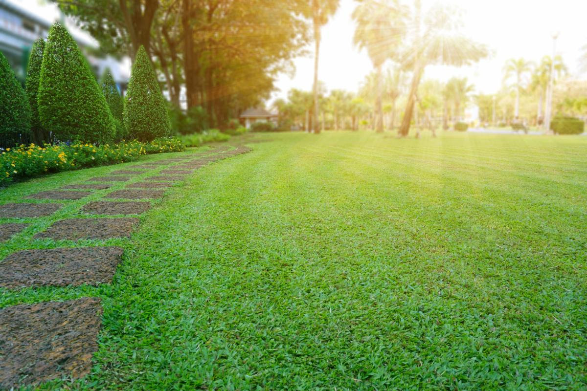 - 10 Tips for Getting Your Backyard Summer Ready -

1. Rake your yard to remove leaves and other debris
2. Aerate your grass and add fertilizer
3. Reseed bare patches of grass

Read more at: facebook.com/remaxdowntown/…

#lawncare #lawncarelife #summerprep #homeowners #hometips #remax