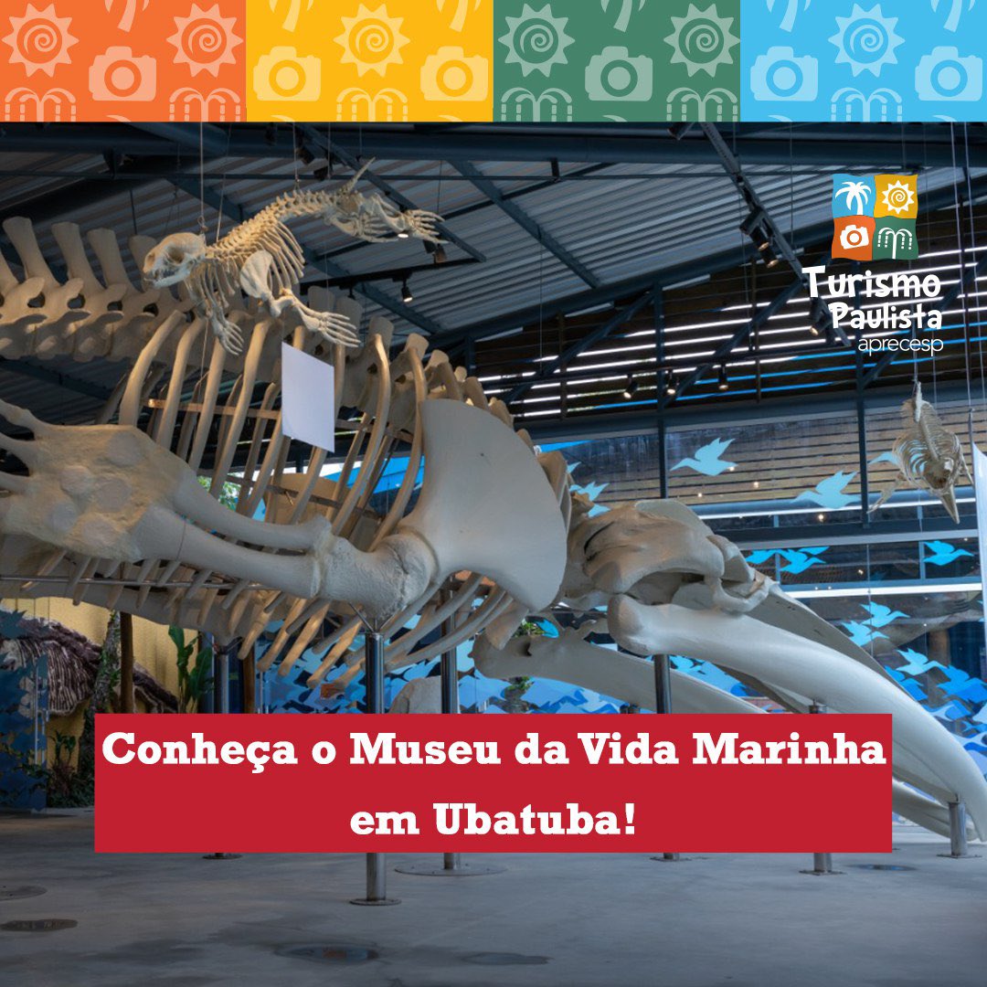 turpaulista's tweet photo. #DicaTurSP Desvende os segredos ocultos do mar! Explore o Museu da Vida Marinha em Ubatuba, um verdadeiro portal para as profundezas oceânicas! 🐙🪼
LEIA+ https://t.co/LasQ1opoCs
#turismopaulista #Aprecesp #MuseudaVidaMarinha #Ubatuba #DescubraOMar #AventuraMarinha https://t.co/23iyRXrXw1