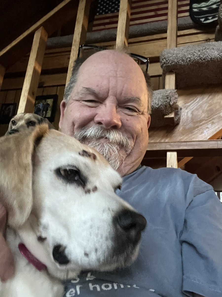 Coffee with Daisy and Lilly. Back from vacation and happily being smothered by my pups. Good to be home. 
#beagle #beaglefacts #alaskabeagleranch