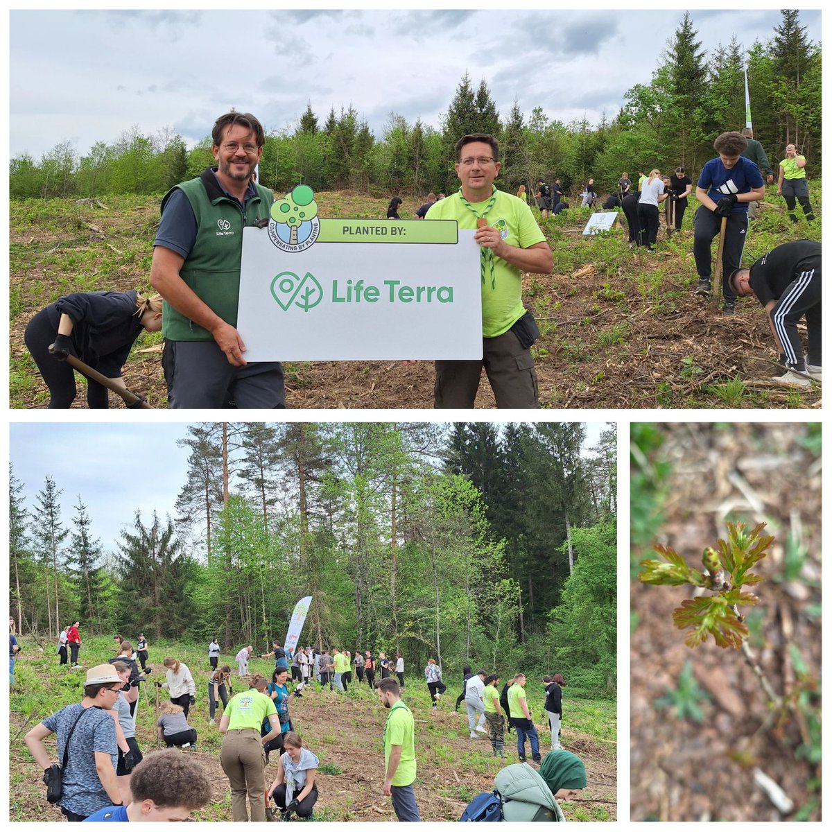 Life Terra is now present in Croatia 🇭🇷 Our reforestation efforts keep expanding across Europe. This time, the team planted in an Oak area with the alumni of three local schools, combining environmental action and community awareness. #croatia #climateaction