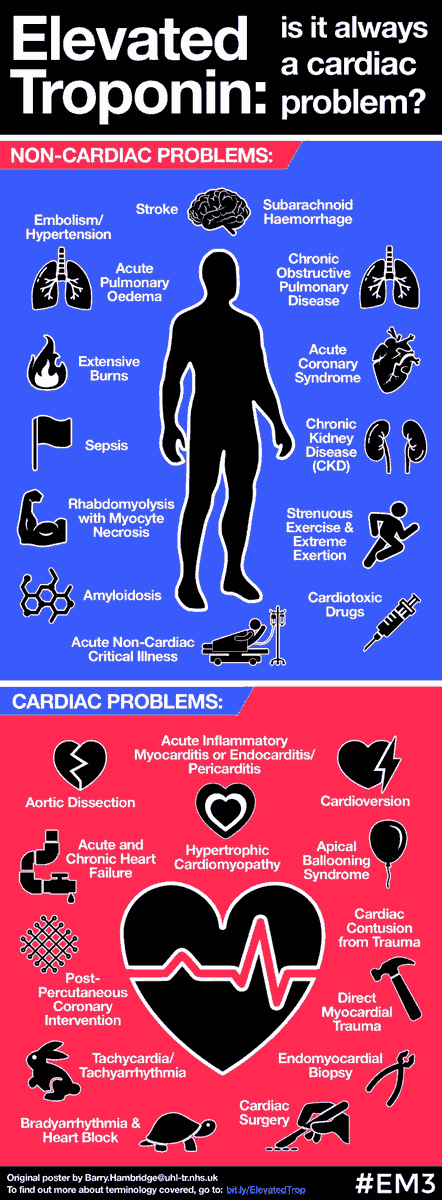 🔴 Beware of the “Highly Sensitive” Troponin @ManualOMedicine

manualofmedicine.com/topics/cardiol…
#cardiology #CardioTwitter #CardioEd
#ECG #meded #cardiotwitter
#ECG #EKG #FOAMed #MedEd #medstudent #paramedic #Cardiology #CardioEd #medtwitter #meded #CardioTwitter #cardiotwiteros  #MedX