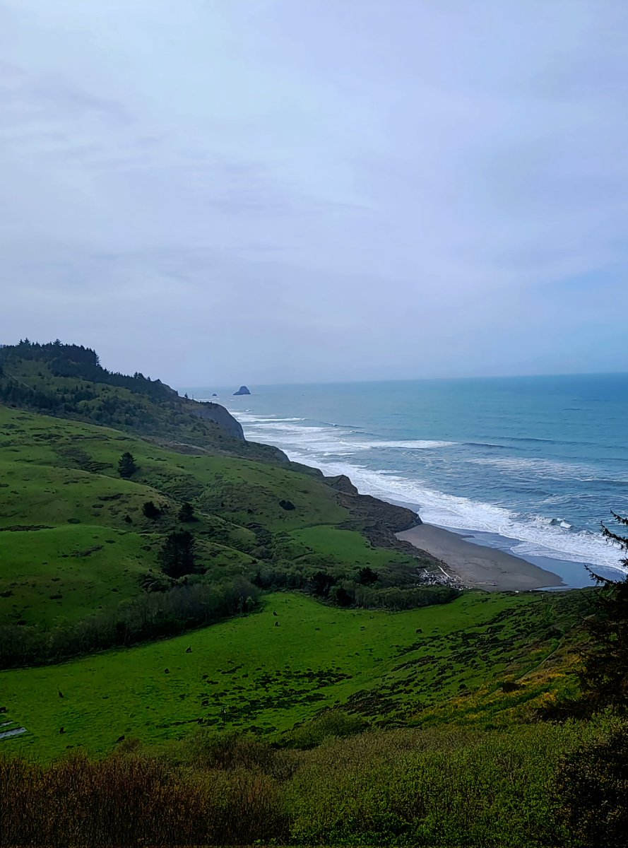 some nor cal vitamin sea... 💦
northcoast california u s a