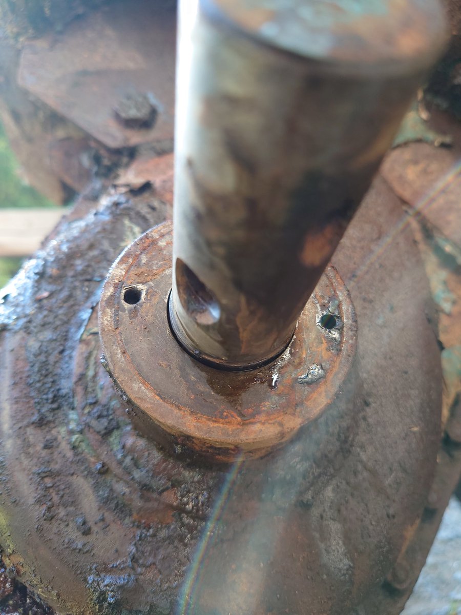 飯能の人 tweet media