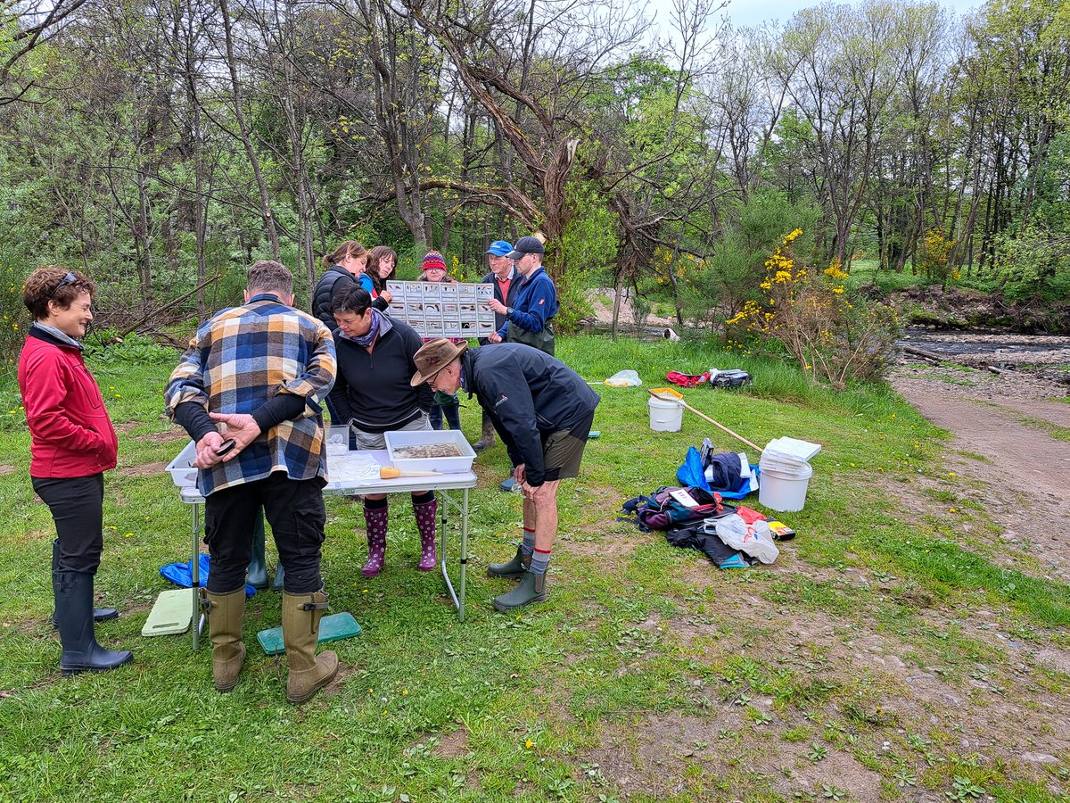 Spey Catchment Initiative (@speycatchment) on Twitter photo Exciting news! Our #GuardiansofourRivers invertebrate monitoring programme is back in action for the season.
We're thrilled to welcome 4 new volunteers to our existing teams and a whole new group at Insh Marshes! ๐ฅณ
Interested in joining in? Email ๐ info@speycatchment.org Exciting news! Our #GuardiansofourRivers invertebrate monitoring programme is back in action for the season.
We're thrilled to welcome 4 new volunteers to our existing teams and a whole new group at Insh Marshes! ๐ฅณ
Interested in joining in? Email ๐ info@speycatchment.org