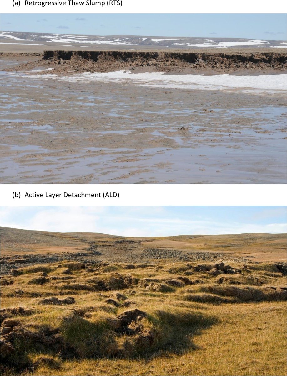 NEW review: Remote sensing of biogeophysical variables at the Cape Bounty Arctic Watershed Observatory, Melville Island, Nunavut, Canada ➡️ cdnsciencepub.com/doi/full/10.11… @QueensGPPL @TMUGeo @NRCan @UCalgaryGeog @ducanada @ABbiodiversity @uOttawaGEG_ENV @WoodwellClimate @McMasterSEES