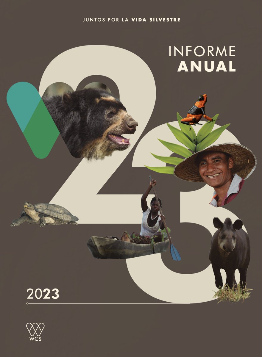 ¡Estamos emocionados de presentar el informe anual de @WCSColombia 2023! Descubre cómo trabajamos para proteger la biodiversidad y promover el bienestar de las personas en varias regiones de nuestro país. #JuntosPorLaVidaSilvestre 🌿🦋🐝🌼🐠🐅

Descárgalo: tinyurl.com/3efpcmfn
