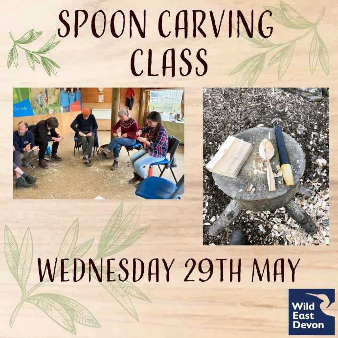 ✨ May Half Term Event ✨ 🪵 Let's get back to basic and learn a new skill using nature. Spoon carving for beginners at Seaton Wetlands! Last few spaces left. Book your spot 👉🏼 wildeastdevon.co.uk/event-detail?e… Suitable for ages 14+ 🙌🏽
