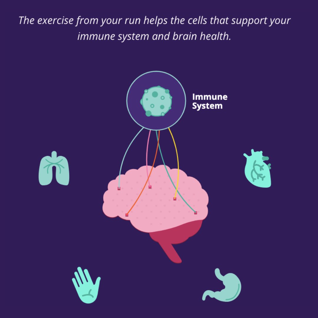 💡 The nervous system communicates with every major process in our bodies through a 86 billion #Neurons in the #Brain. Explore @Brain_Facts_org' “Core Concepts in Neuroscience” cluster for more fascinating insights into the brain's complexities. ow.ly/fG7M50Ry51X