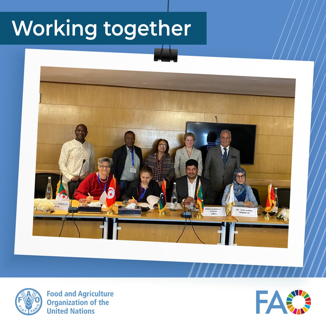 #ICYMI, last week the Chief Veterinary Officers of North Africa countries signed the revised regional strategy for #PestedesPetitsRuminants eradication. This marks renewed coordination to improve #animalhealth & production to help achieve the #SDGs. 👉 bit.ly/4bpgGZW