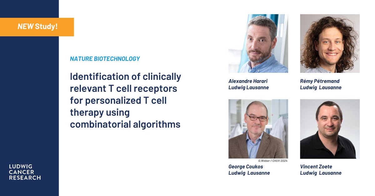 Team led by Ludwig @OncoUNILCHUV's Alexandre Harari & Rémy Pétremand reports in @NatureBiotech an AI-based predictive model, TRTpred, that when used with other algorithms vastly improves selection of potent T cells for personalized cancer immunotherapy. bit.ly/4b8vuMJ