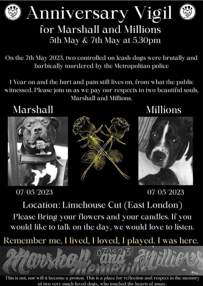 Rest in peace Marshall and Millions, I'll NEVER forget you! 🕯️🤍💔

Rot in HELL Met police thugs!

Shame on you Louie!

#JusticeForMarshallAndMillions