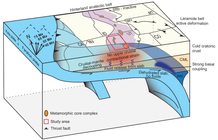 New and existing thermal data show that the hot hinterland crust promoted lower crust mobility and crust-mantle decoupling during flat-slab traction. @UNRScience nature.com/articles/s4146…