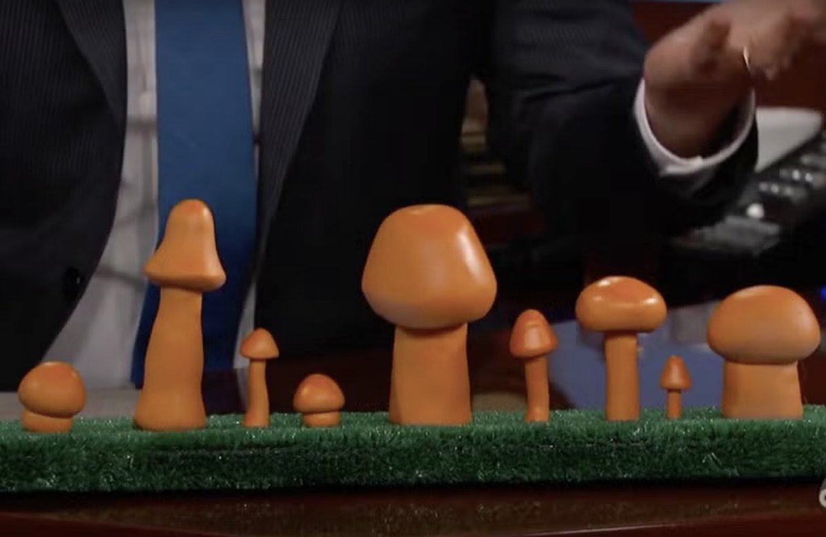 🍄BREAKING: Stormy Daniels has positively identified Donald Trump under oath as the 4th mushroom from the left. #StormyDaniels