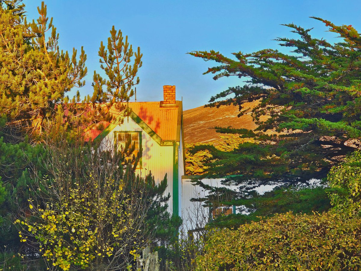 Autumn colours #chartres #farm #Falklands #west #trees