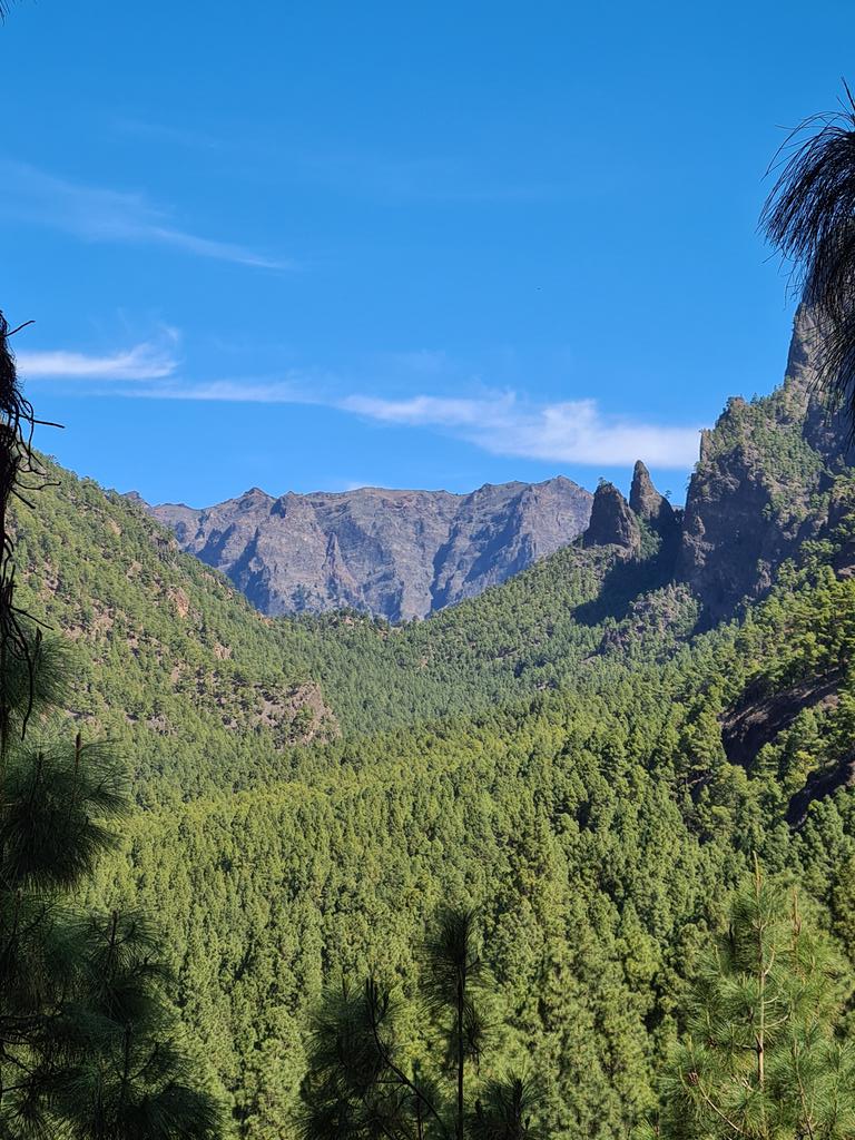 Foreground, the beautiful #Cumbrecita and the highest point, #RoquedelosMuchachos with 2.426m, in the background. #LaPalma