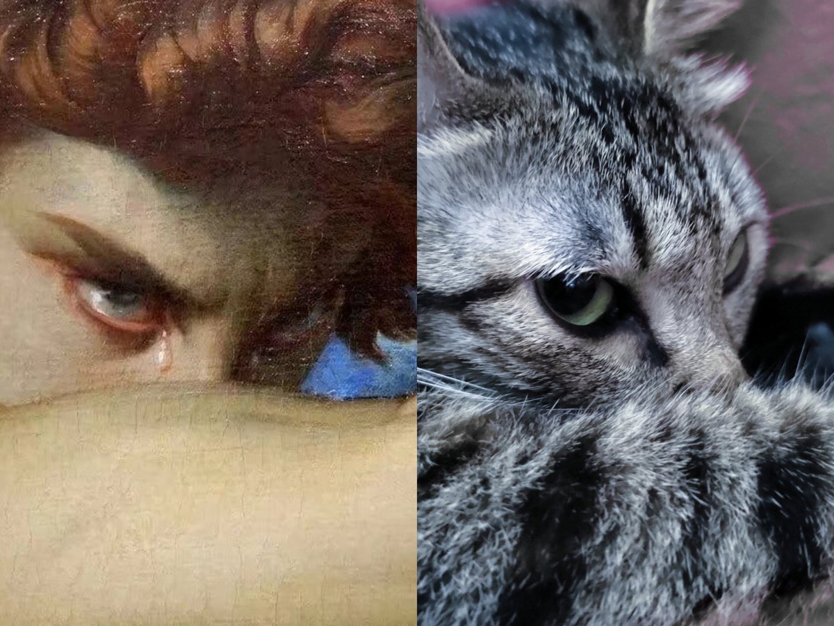 When Your Cat Is a World Famous Painting