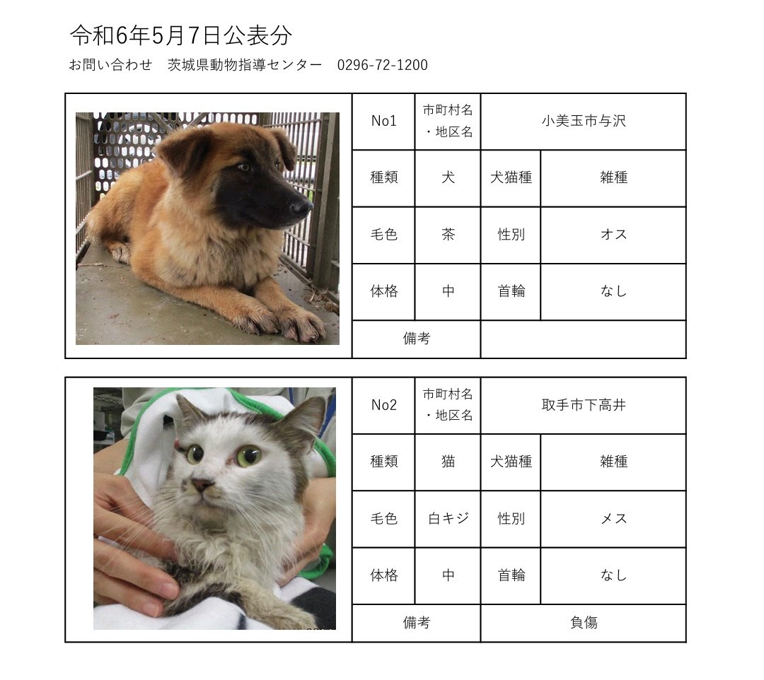 5月7日現在
茨城動物指導センターに保護されている、徘徊迷犬猫です。
心当たりのある方は、茨城県動物指導センターへ至急お電話お願い致します。

茨城県動物指導センター
(受付時間　平日　8:30~17:15)
0296-72-1200
#迷い犬猫
#犬
#猫
#茨城県迷子犬
#茨城県迷子猫