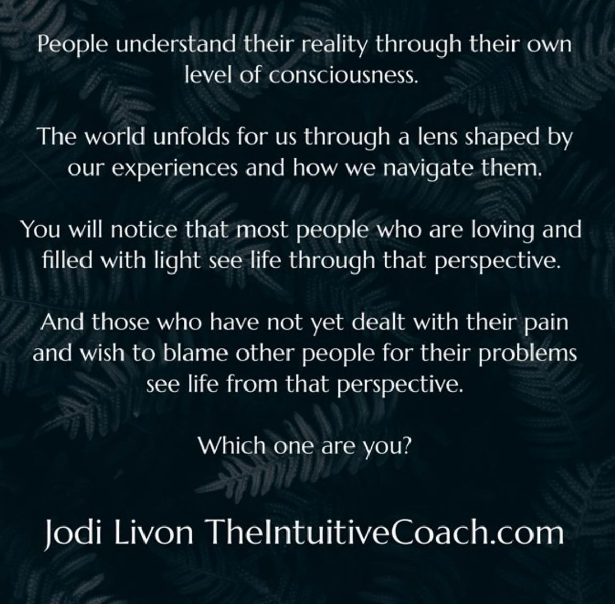 People understand their reality through their own level of consciousness. #higherself #thehappymedium #quotes