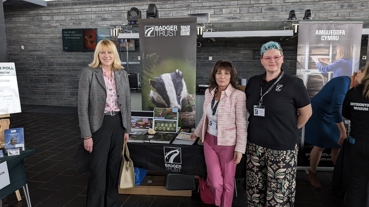 Great to see @CThomasMS visit the @BadgerTrust stand in @SeneddWales today. Wales doing a better job of dealing with bTB in cattle than England, and it doesn't cull badgers because they aren't the problem!