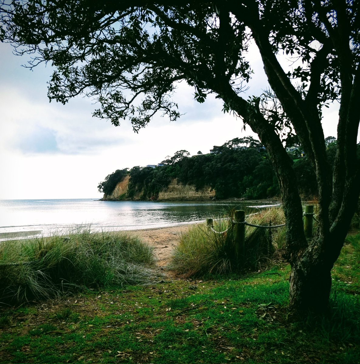 Secluded. Stanmore Bay,  Auckland,  New Zealand 🇳🇿